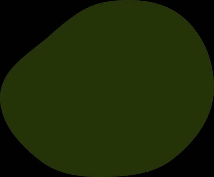 vector